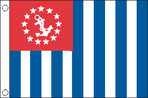 TAYLOR USCG AUXILIARY  FLAG