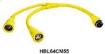 Click to view this Product