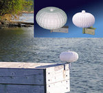 Click to view this Product