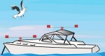 Gullsweep Seagull Repeller