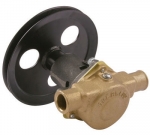 Sherwood G21 Pleasurecraft Engine Cooling Pump