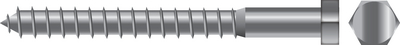 Lag Screws